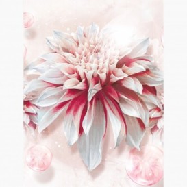 Fototapeta - PL1043 - Bílo-růžový květ