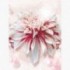Fototapeta - PL1043 - Bielo-ružový kvet