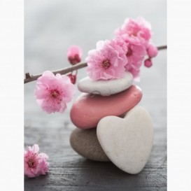 Fototapeta - PL1377 - Barevné kamínky s květy