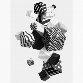 Fototapeta - PL1413 - Černobílé vzorované 3D kostky