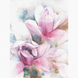 Fototapeta - PL1477 - Bílo-růžové květy malba