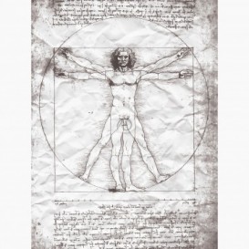 Fototapeta - PL1516 - Vitruviánského muž Leonardo da Vinci