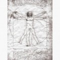 Fototapeta - PL1516 - Vitruviánsky muž Leonardo da Vinci