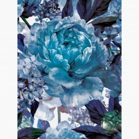 Fototapeta - PL1537 - Modro-fialové malované květy