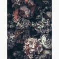 Fototapeta - PL1561 - Vintage kvety