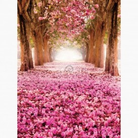Fototapeta - PL1610 - Alej stromů s růžovými květy
