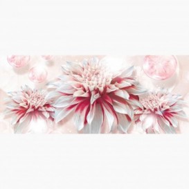 Fototapeta - PA5051 - Bílo-růžový květ