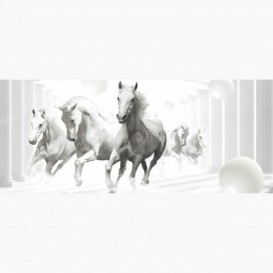 Fototapeta - PA5052 - Bílé koně abstrakce