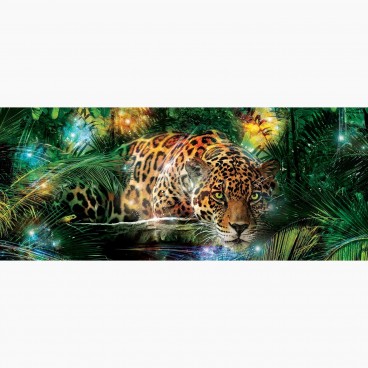 Fototapeta - PA5076 - Leopard