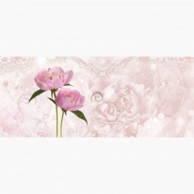 Fototapeta - PA5097 - Růžové květy