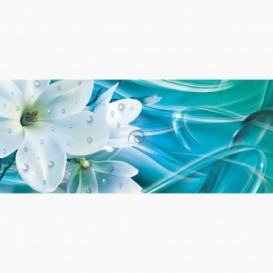 Fototapeta - PA5136 - Bílé květy na modro-tyrkysovém pozadí