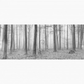 Fototapeta - PA5285 - Černobílý les