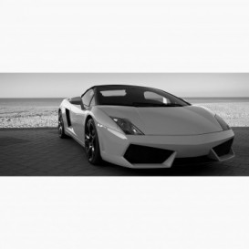 Fototapeta - PA5320 - Lamborghini šedé