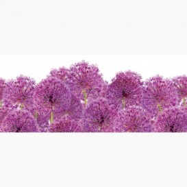 Fototapeta - PA5322 - Fialové květy