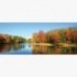 Fototapeta - PA5358 - Podzim na břehu řeky