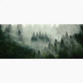 Fototapeta - PA5383 - Mlhavý les