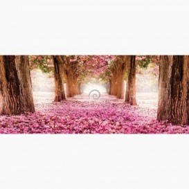 Fototapeta - PA5392 - Alej stromů s růžovými květy