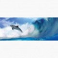 Fototapeta - PA5400 - Delfín na vlnách