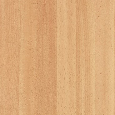 Samolepiaca fólia 200-8149 Buk stredný 67,5cm 