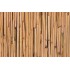 Samolepící fólie 10595 Bambus 67,5cm x 15m