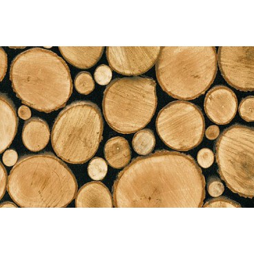 Samolepiaca fólia 11615 Palivové drevo 67,5cm 