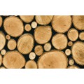 Samolepící fólie 11615 Palivové dřevo 67,5cm x 15m