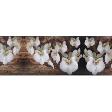 Samolepiaca bordúra Orchidea BO5016 10,6cmx5m