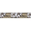 Samolepiaca bordúra Orchidea BO5021 5,3cmx5m