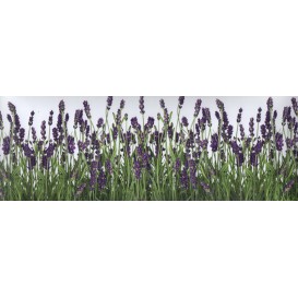 Samolepiaca bordúra Levandule BO5023 10,6cmx5m