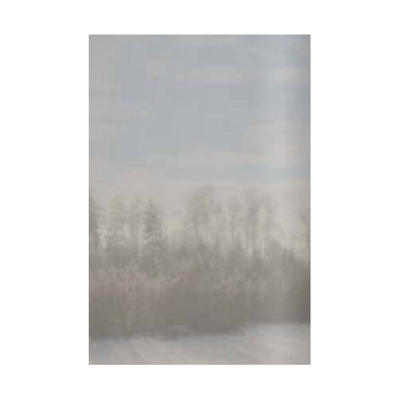 Protislnečná fólia Stredná 0,75x2m