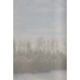 Protislnečná fólia Stredná - zrkadlová 0,75x2m