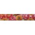 Samolepiaca bordúra Kvety BO5038 5,3cmx5m