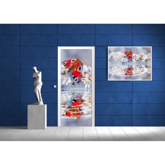 Dverová fototapeta - DV0043 - Motýľ