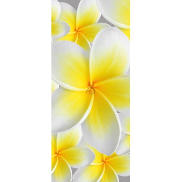 Dverová fototapeta - DV0003 - Žltobiely kvet
