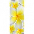 Dverová fototapeta - DV0003 - Žltobiely kvet