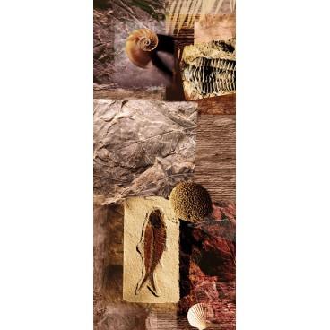Dverová fototapeta - DV0001 - Mozaika skamenelín