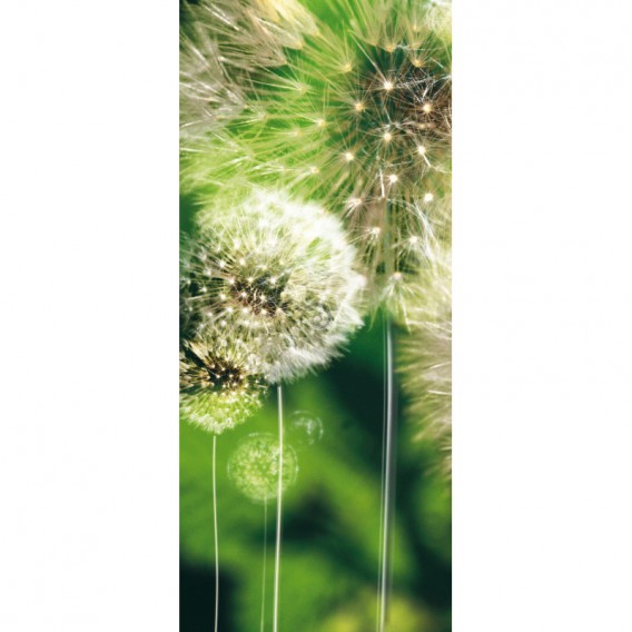 Dverová fototapeta - DV0010 - Púpava