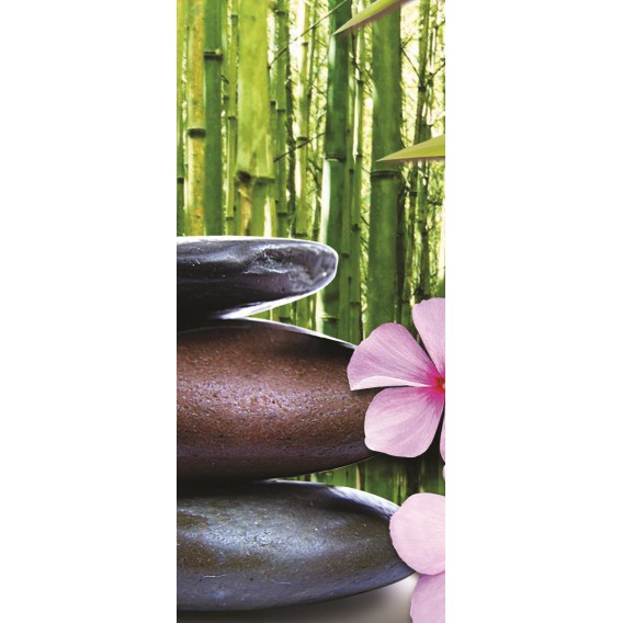 Dverová fototapeta - DV0014 - Zelené listy , kamienky , kvety