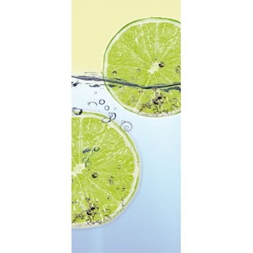 Dverová fototapeta - DV0015 - Limetky