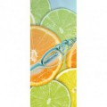 Dverová fototapeta - DV0016 - Limetky
