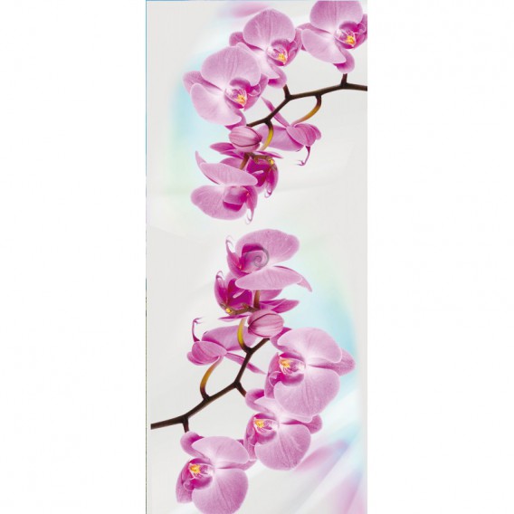 Dverová fototapeta - DV0047 - Ružové kvety