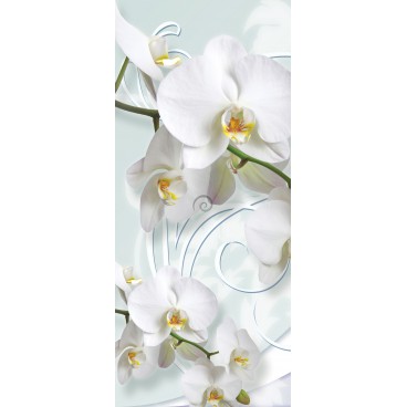 Dverová fototapeta - DV0305 - Biele kvety na bielom pozadí