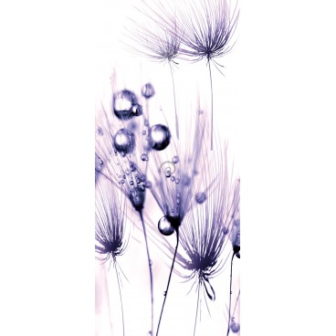 Dverová fototapeta - DV0037 - Fialové kvety