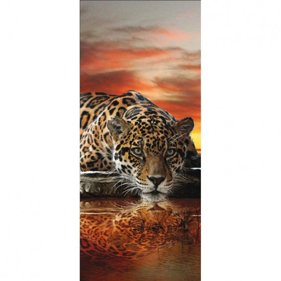 Dverová fototapeta - DV0038 - Jaguár