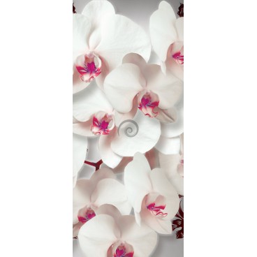 Dverová fototapeta - DV0318 - Biele kvety