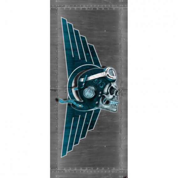 Dverová fototapeta - DV0322 - Lebka – pilot sivý