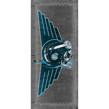 Dverová fototapeta - DV0322 - Lebka – pilot sivý