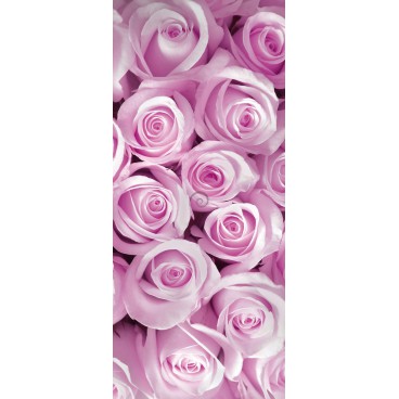 Dverová fototapeta - DV0057 - Ružové ruže