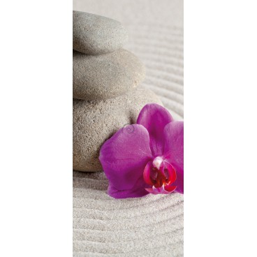 Dverová fototapeta - DV0060 - Ružový kvet a kamienky