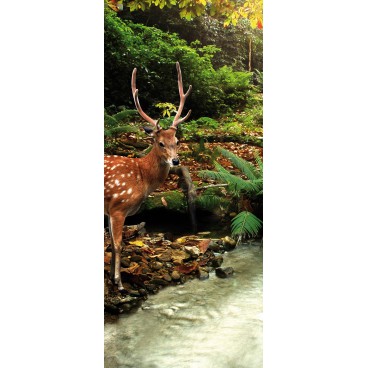 Dverová fototapeta - DV0061 - Jeleň v lese